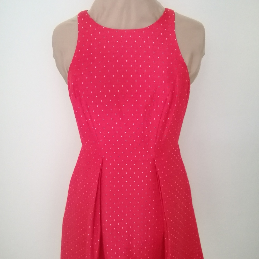 Strawberry red The Limited fit & flare  dress  4 🍓